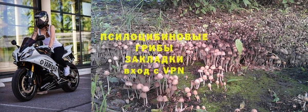 стаф Вязники